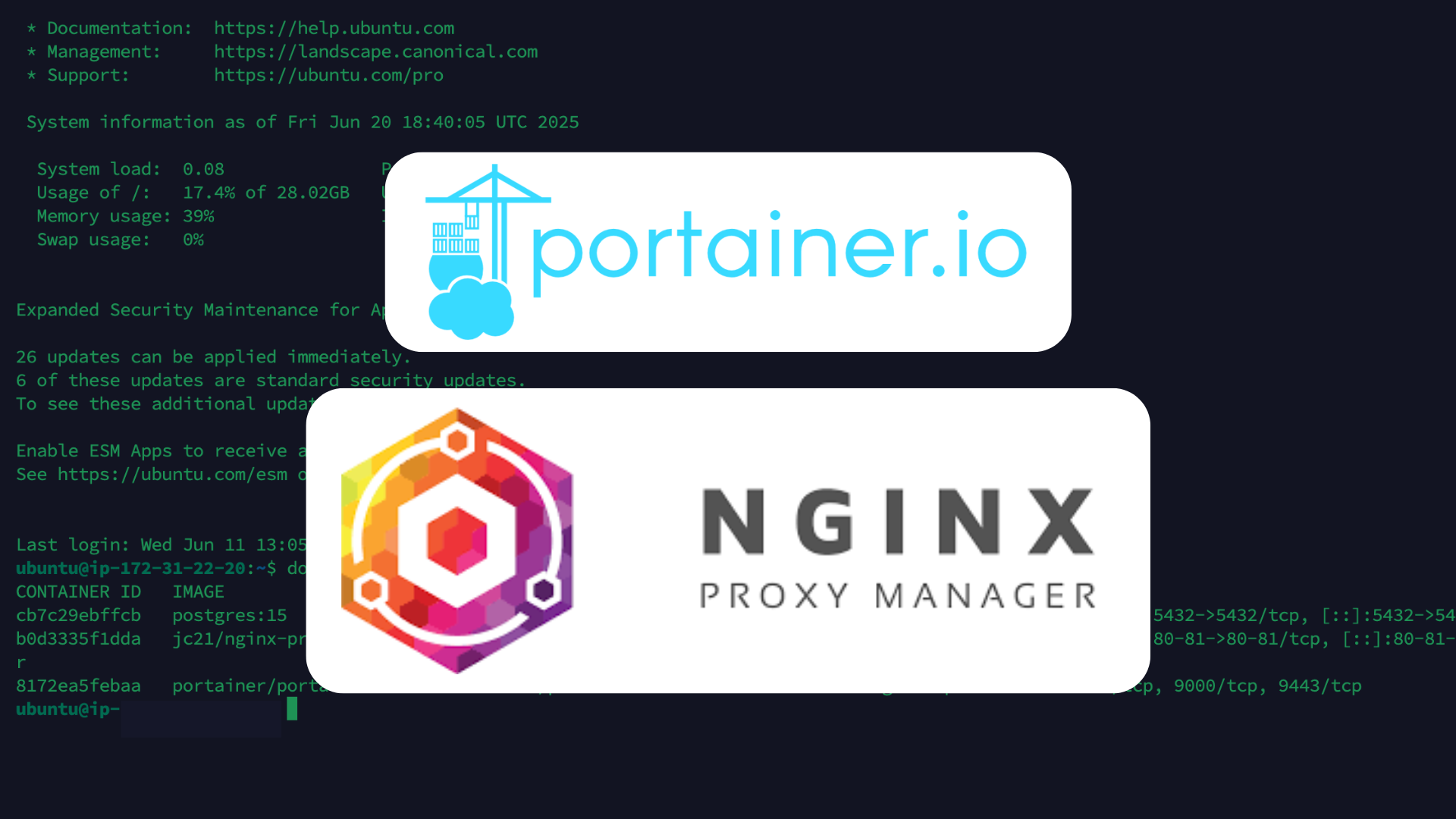 portainer-nginx-proxy-manager